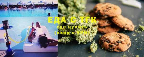 мдпв Рославль