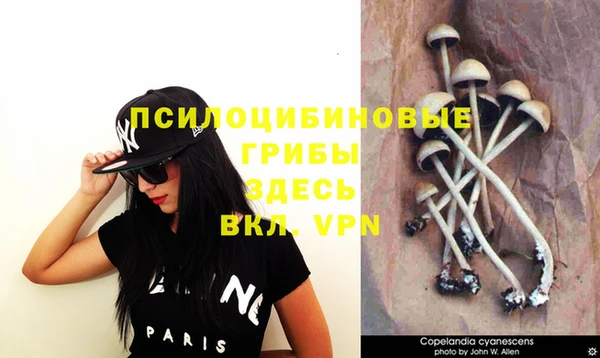 Альфа ПВП Богданович